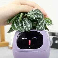 IVY - Seu Pet Verde ( Vaso de Plantas Inteligente)
