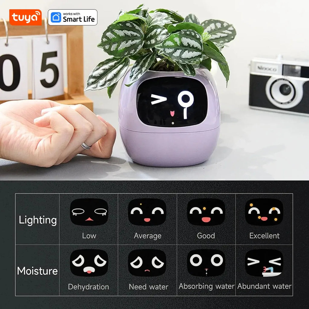 IVY - Your Green Pet (Smart Plant Pot)