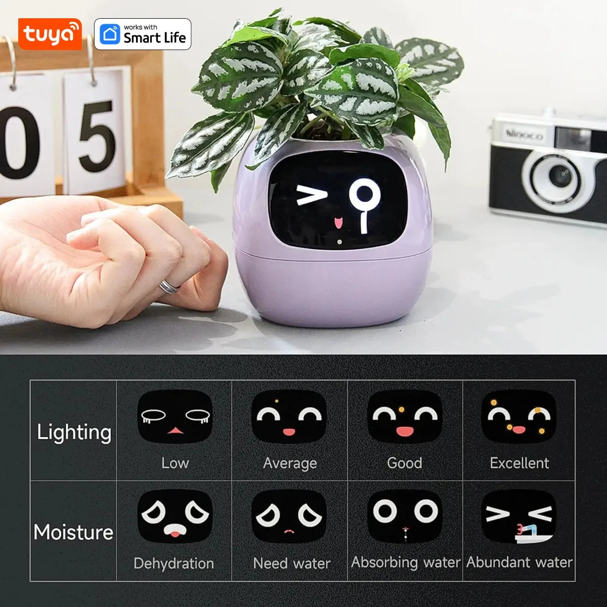 IVY - Your Green Pet (Smart Plant Pot)