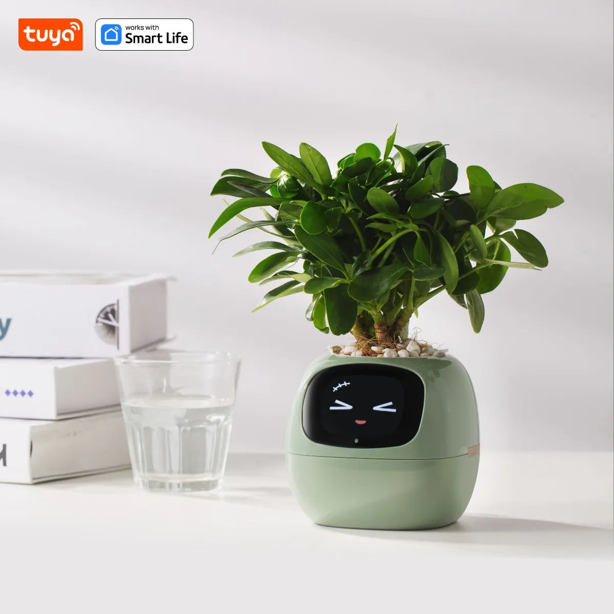 IVY - Seu Pet Verde ( Vaso de Plantas Inteligente)