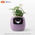 IVY - Your Green Pet (Smart Plant Pot)