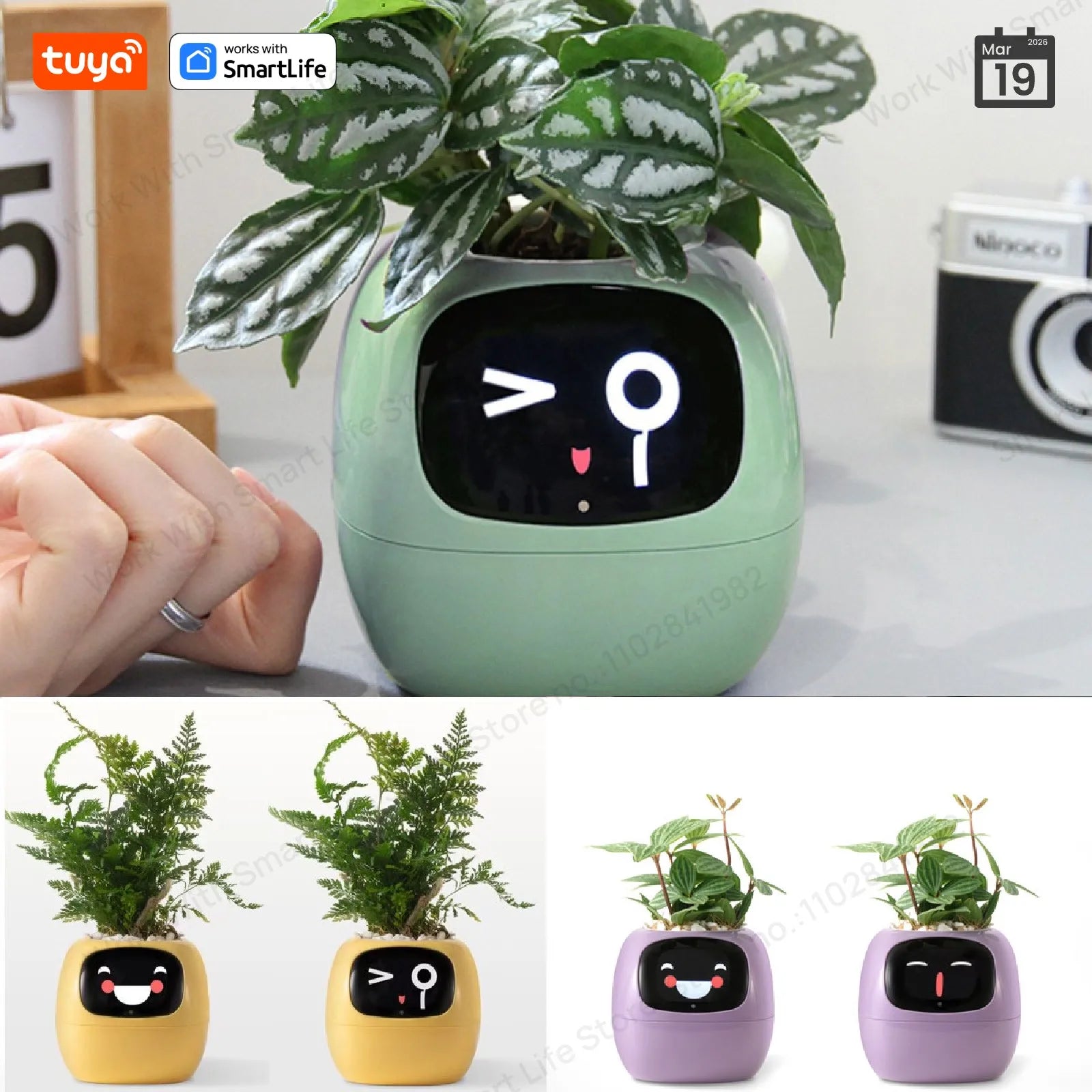 IVY - Seu Pet Verde ( Vaso de Plantas Inteligente)