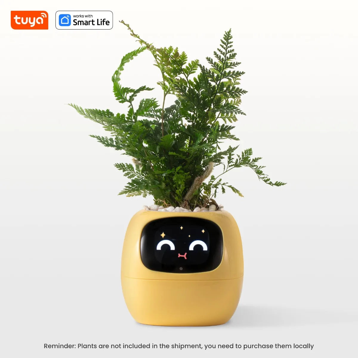 IVY - Seu Pet Verde ( Vaso de Plantas Inteligente)