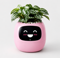 Ivy™ AI Smart Plant Pot